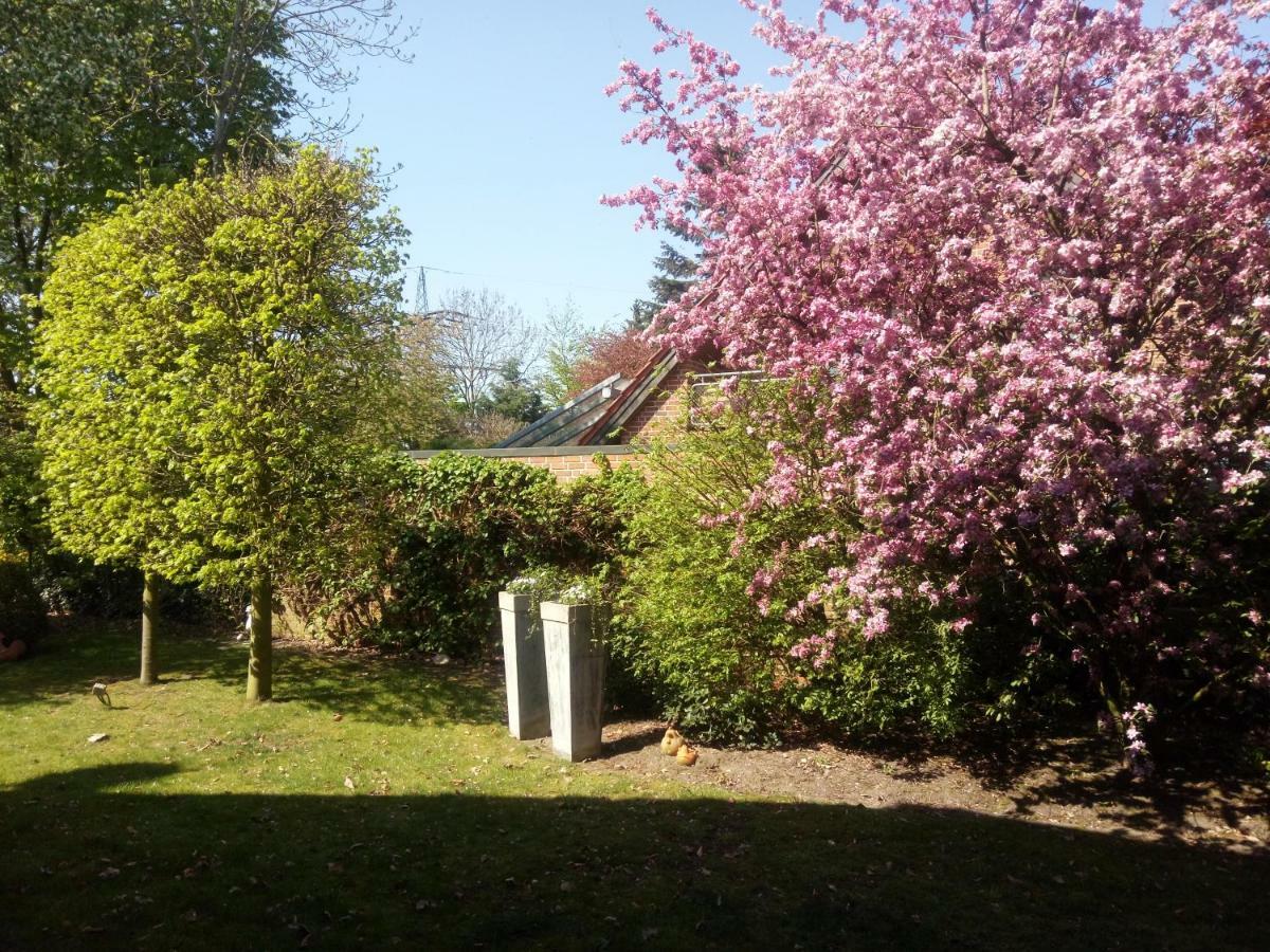 Apartment Am Vechtesee Schuettorf Zewnętrze zdjęcie